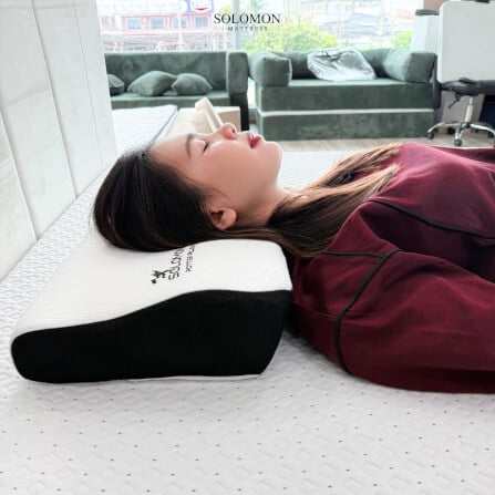 หมอนเมมโมรี่โฟม SOLOMON รุ่น POTTER PILLOW_7
